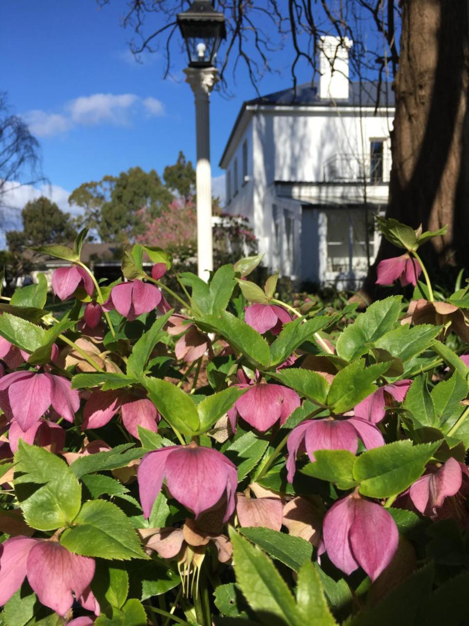 Boscobel Of Tasmania Bed and Breakfast Ulverstone Buitenkant foto